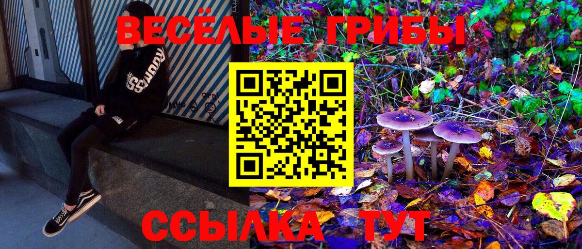 Гашиш  МЕФ  КОКАИН  Воркута  Метадон  MDMA  Вход с VPN  МЕФ кристаллы  Марихуана  Лсд 25 